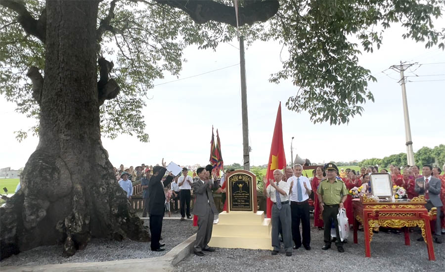 Làng[-]Vạn[-]Lộc[-]tổ[-]chức[-]Lễ[-]đón[-]nhận[-]Cây[-]di[-]sản[-]Việt[-]Nam[-]vào[-]đúng[-]ngày[-]Quốc[-]khánh[-]2/9